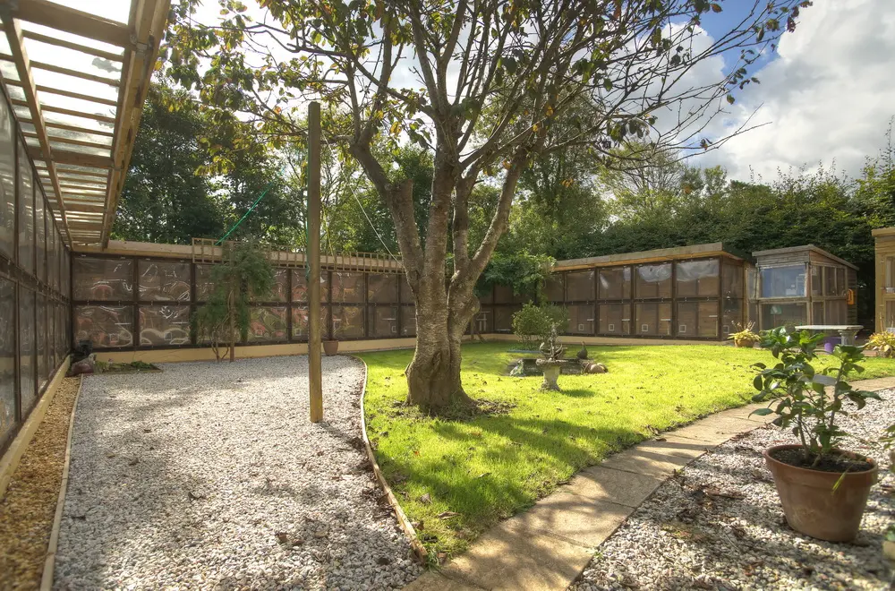 Old Moor Boarding Cattery accommodation and guests