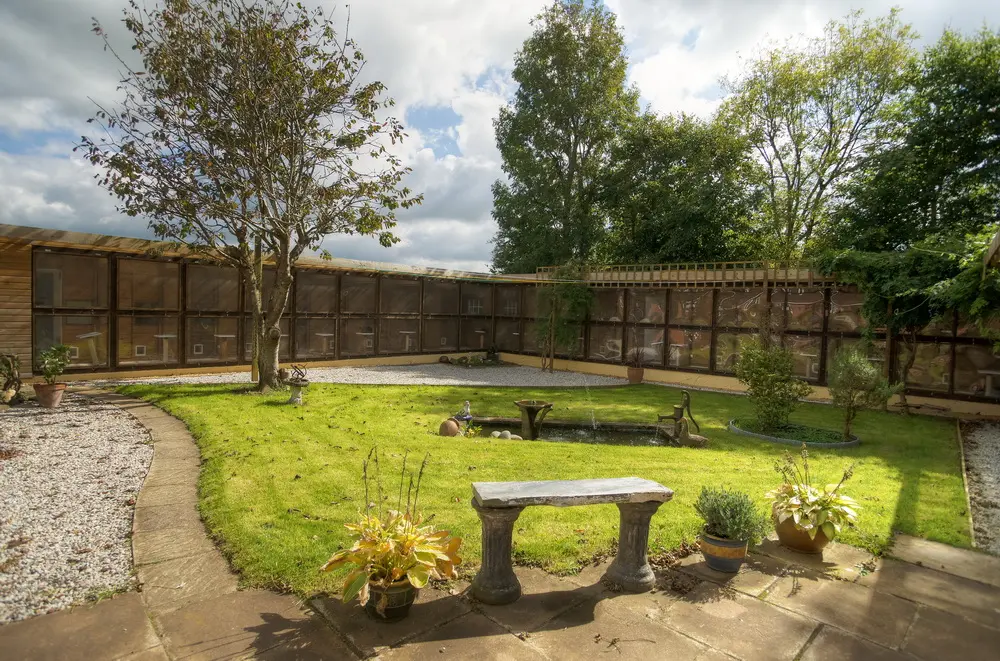 Old Moor Boarding Cattery accommodation and guests