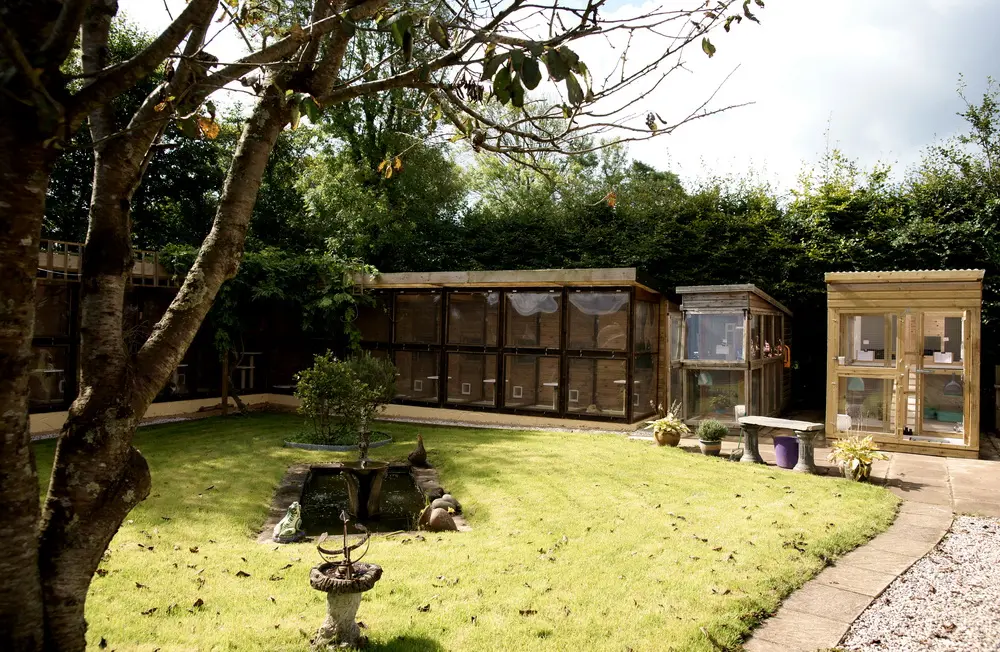 Old Moor Boarding Cattery accommodation and guests