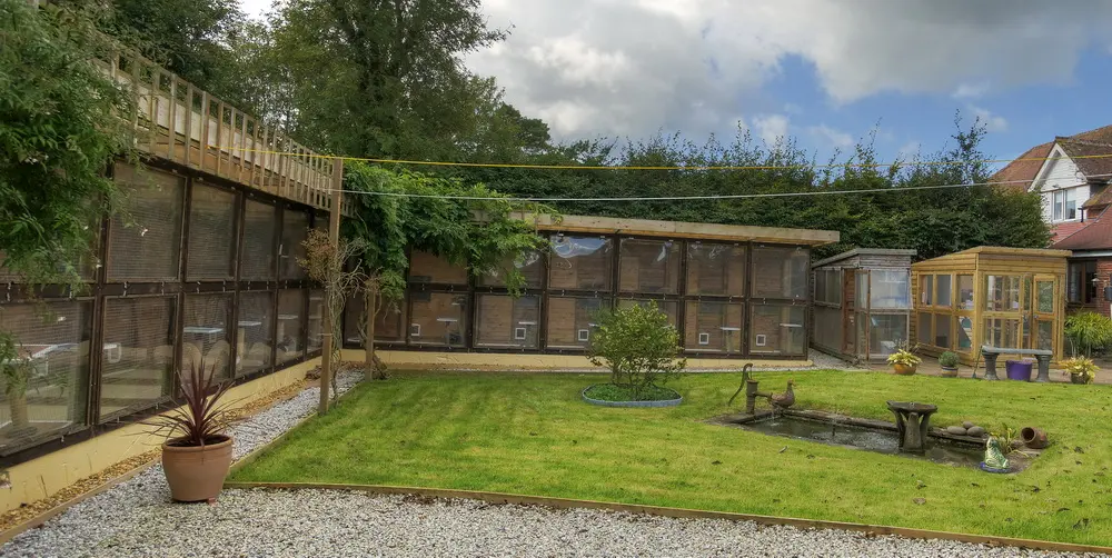 Old Moor Boarding Cattery accommodation and guests