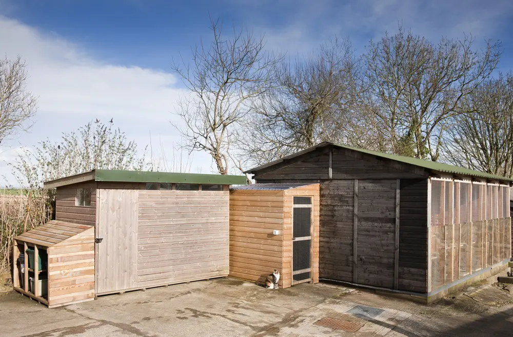 Old Moor Boarding Cattery accommodation and guests