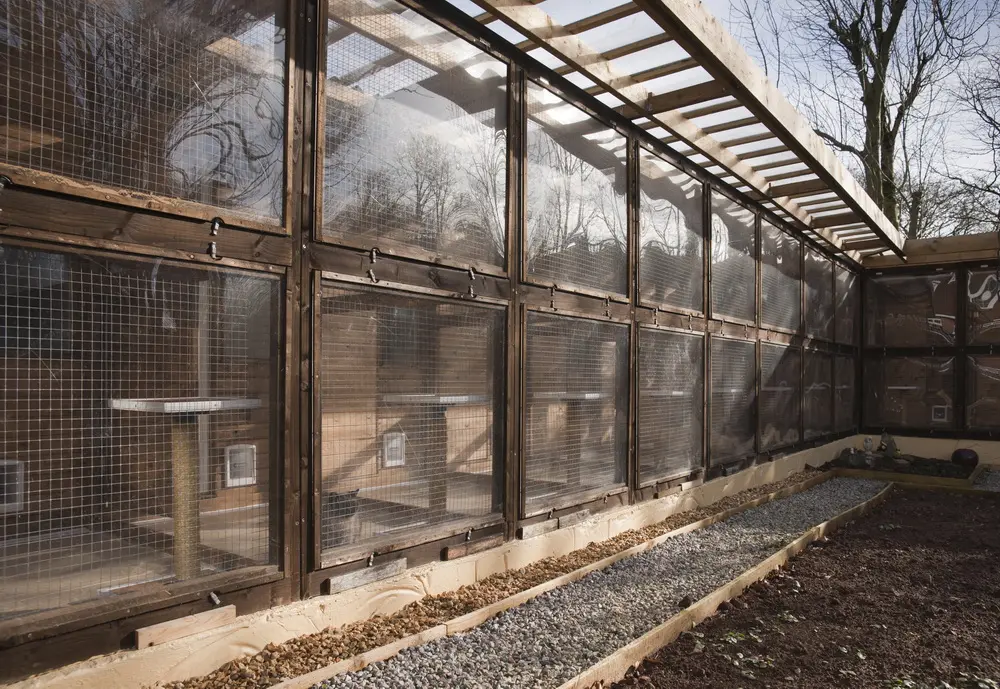 Old Moor Boarding Cattery accommodation and guests