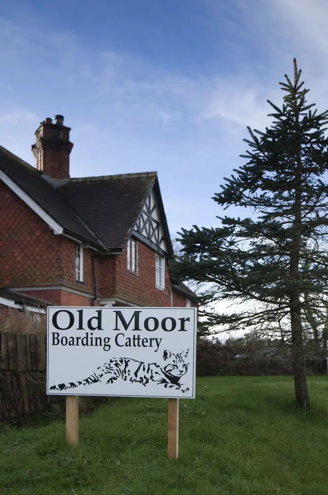 Old Moor Boarding Cattery accommodation and guests