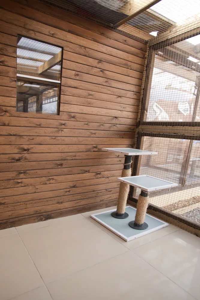 Old Moor Boarding Cattery accommodation and guests