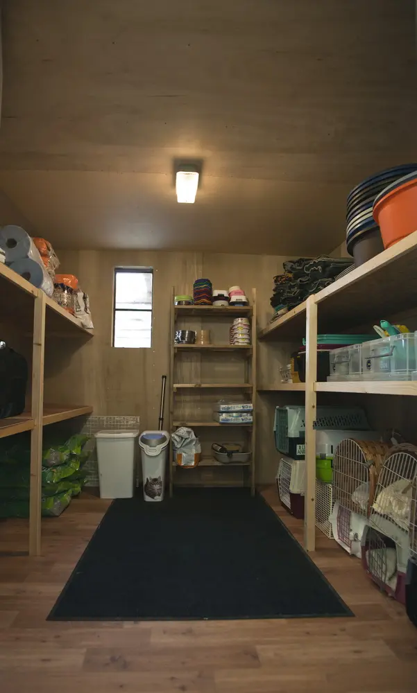 Old Moor Boarding Cattery accommodation and guests