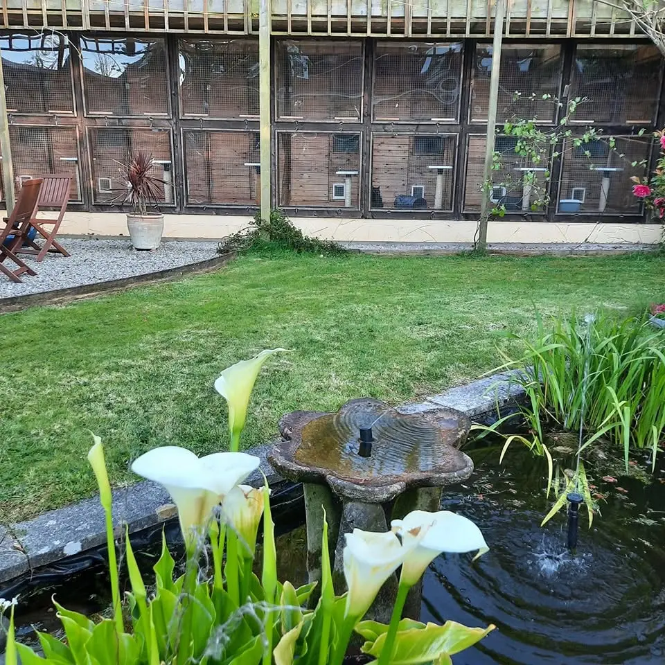 Old Moor Boarding Cattery accommodation and guests