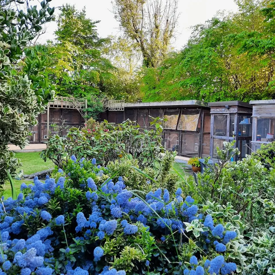 Old Moor Boarding Cattery accommodation and guests