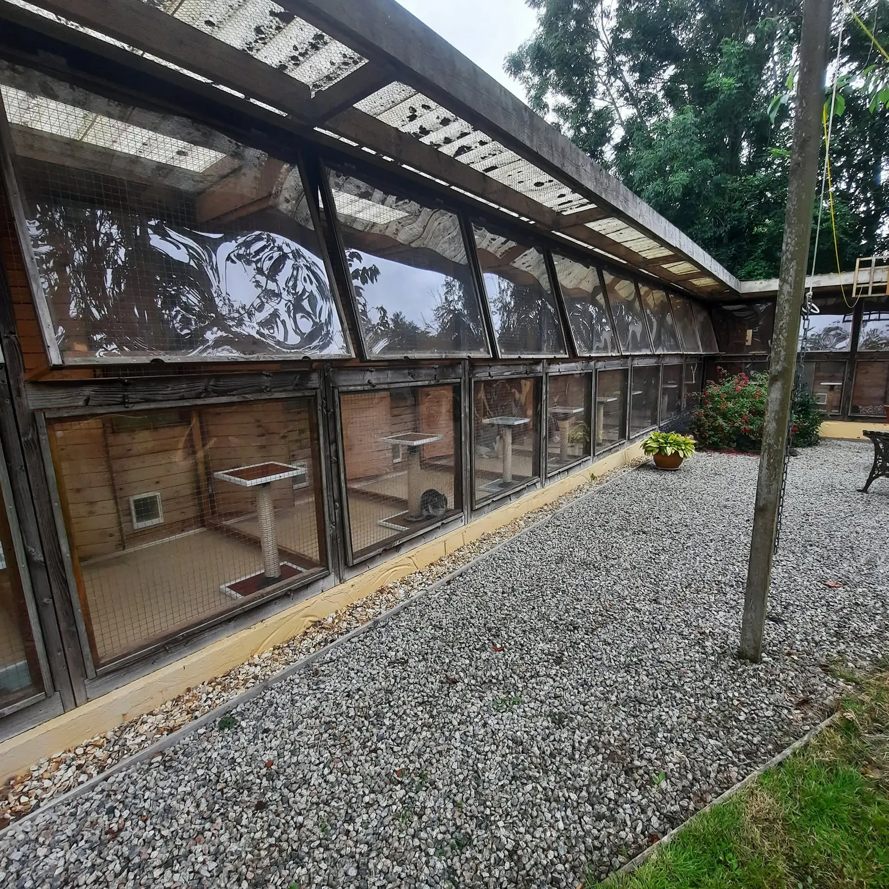 Old Moor Boarding Cattery accommodation and guests