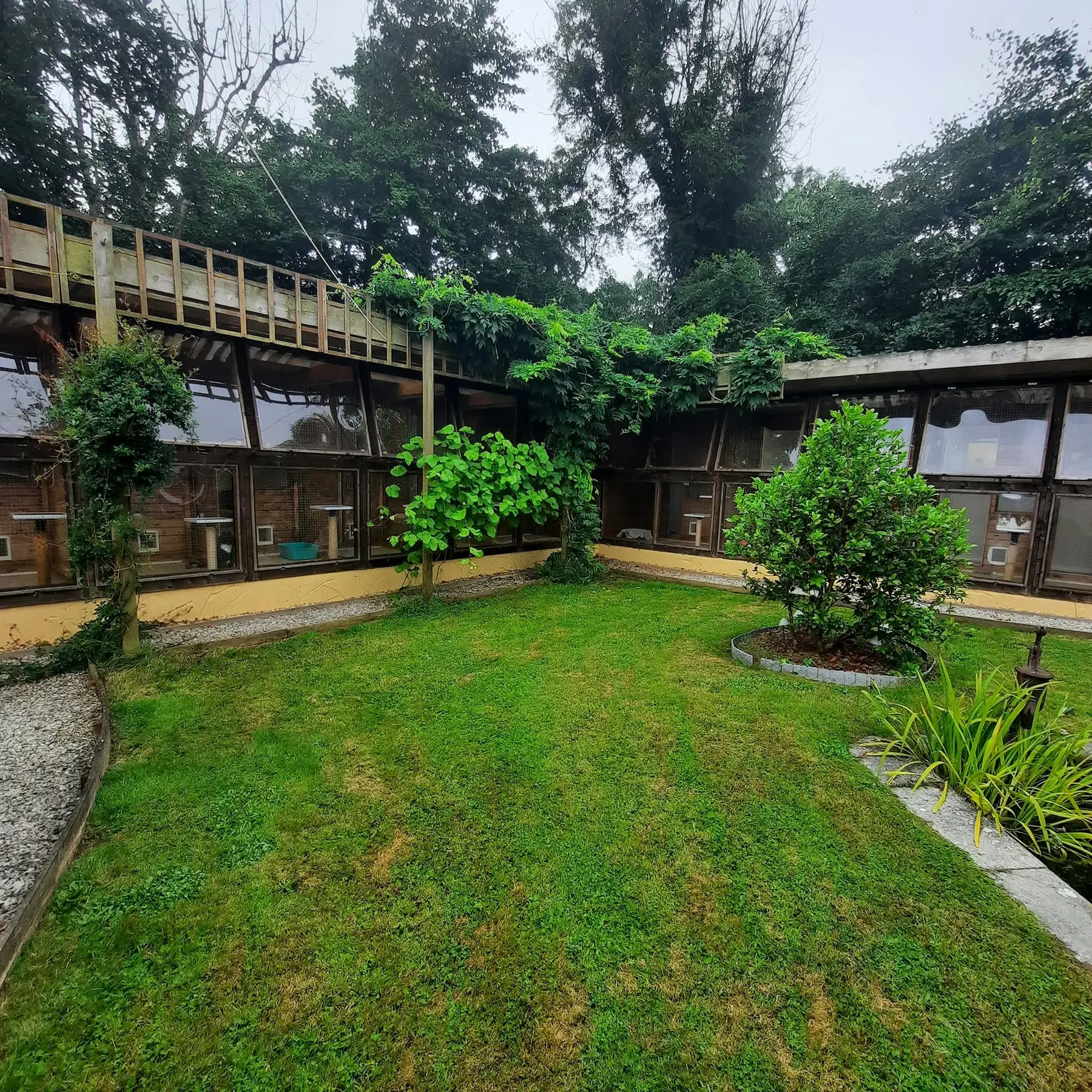 Old Moor Boarding Cattery accommodation and guests