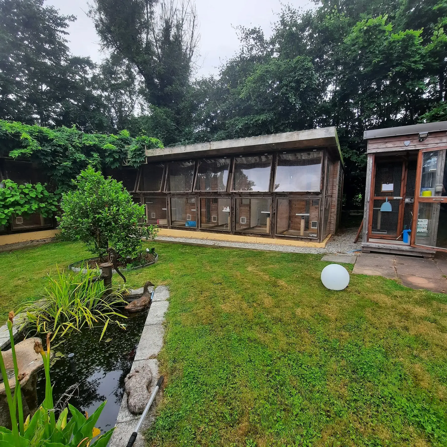 Old Moor Boarding Cattery accommodation and guests