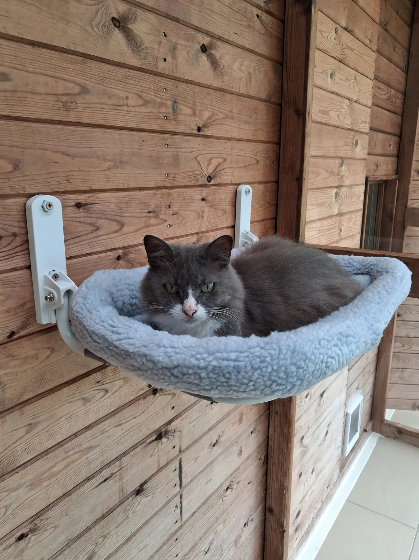 Old Moor Boarding Cattery accommodation and guests