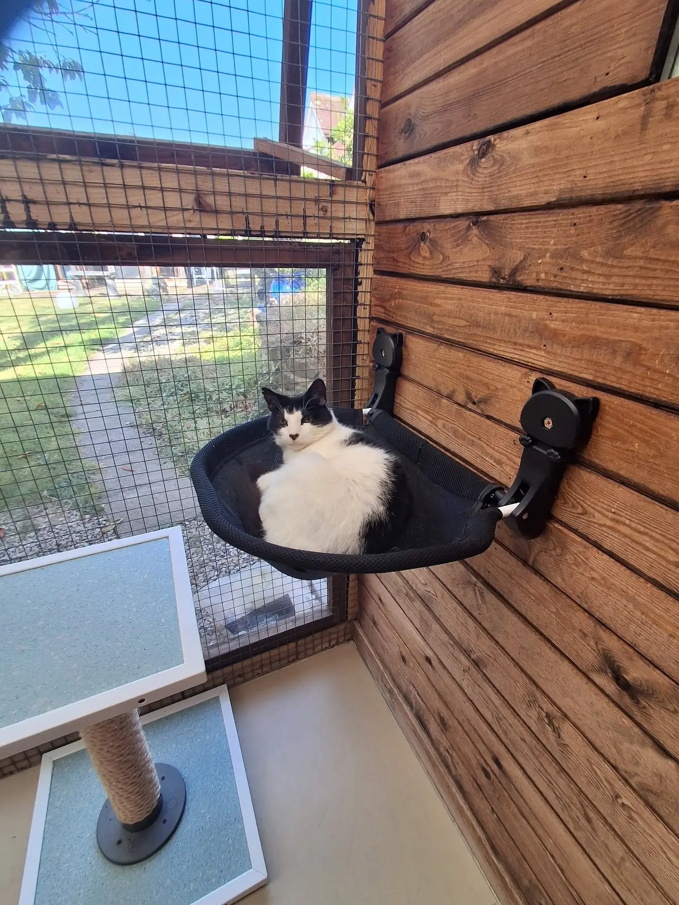 Old Moor Boarding Cattery accommodation and guests