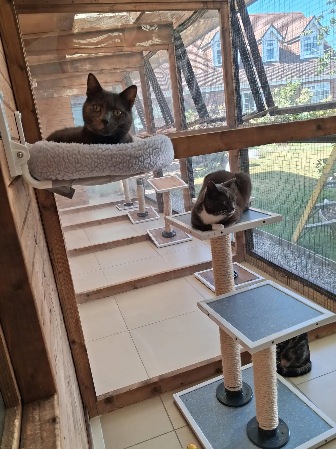 Old Moor Boarding Cattery accommodation and guests